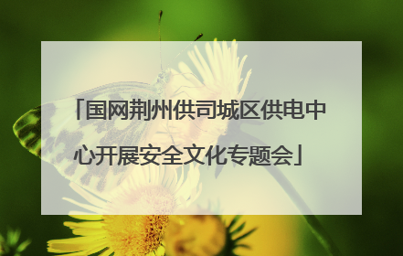 国网荆州供司城区供电中心开展安全文化专题会