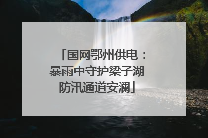 国网鄂州供电：暴雨中守护梁子湖防汛通道安澜