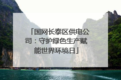 国网长泰区供电公司：守护绿色生产赋能世界环境日