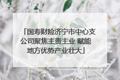 国寿财险济宁市中心支公司聚焦主责主业 赋能地方优势产业壮大