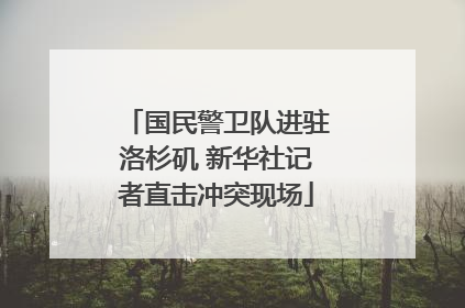 国民警卫队进驻洛杉矶 新华社记者直击冲突现场