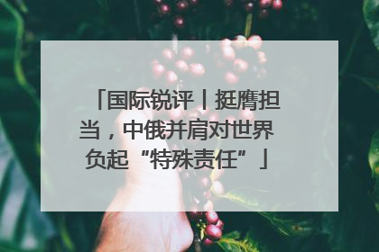 国际锐评丨挺膺担当，中俄并肩对世界负起“特殊责任”