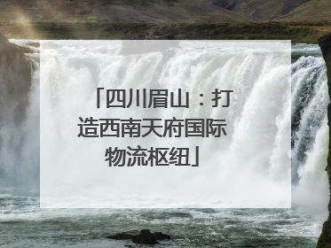 四川眉山：打造西南天府国际物流枢纽