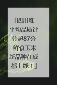 四川唯一平均品质评分超87分 鲜食玉米新品种在成都上线！