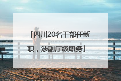 四川20名干部任新职，涉副厅级职务