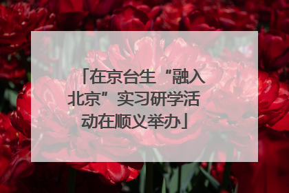在京台生“融入北京”实习研学活动在顺义举办