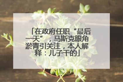 在政府任职“最后一天”，马斯克眼角淤青引关注，本人解释：儿子干的