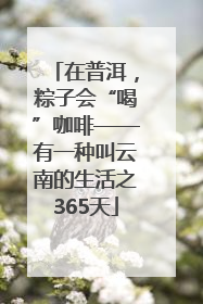 在普洱，粽子会“喝”咖啡——有一种叫云南的生活之365天