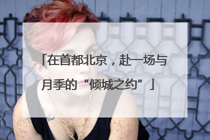 在首都北京，赴一场与月季的“倾城之约”