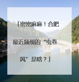 密密麻麻！合肥最近频现的“虫卷风”是啥？