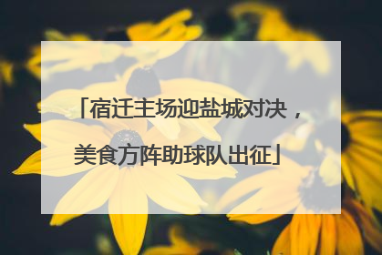 宿迁主场迎盐城对决，美食方阵助球队出征