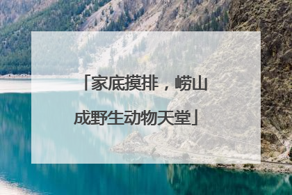 家底摸排，崂山成野生动物天堂
