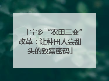 宁乡“农田三变”改革：让种田人尝甜头的致富密码