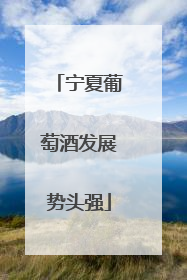 宁夏葡萄酒发展势头强