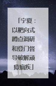 宁夏：以靶向式蹲点调研和登门督导破解顽瘴痼疾