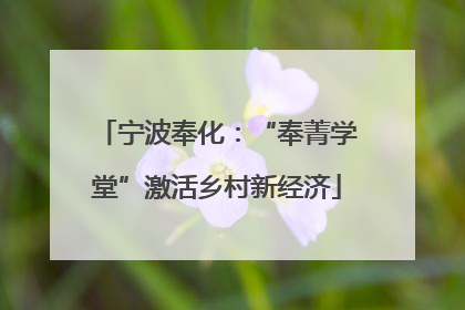 宁波奉化：“奉菁学堂”激活乡村新经济