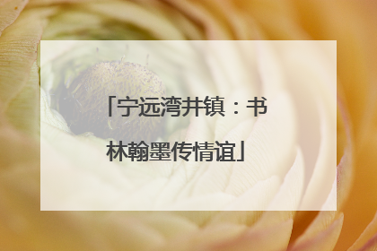 宁远湾井镇：书林翰墨传情谊