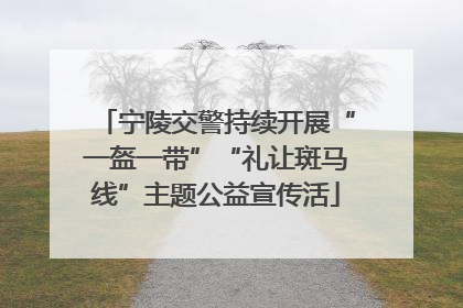 宁陵交警持续开展“一盔一带”“礼让斑马线”主题公益宣传活