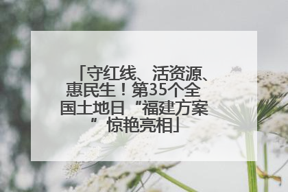 守红线、活资源、惠民生！第35个全国土地日“福建方案”惊艳亮相
