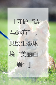 守护“诗与远方”，共绘生态环境“美丽画卷”