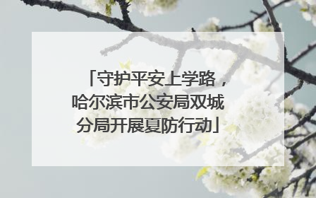 守护平安上学路，哈尔滨市公安局双城分局开展夏防行动
