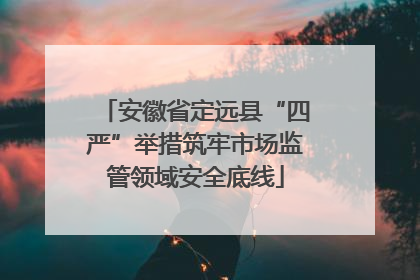 安徽省定远县“四严”举措筑牢市场监管领域安全底线
