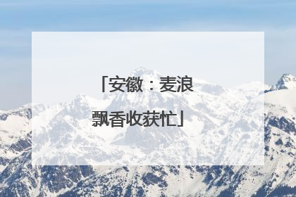 安徽：麦浪飘香收获忙
