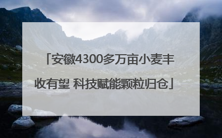 安徽4300多万亩小麦丰收有望 科技赋能颗粒归仓