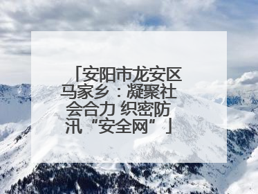 安阳市龙安区马家乡：凝聚社会合力 织密防汛“安全网”