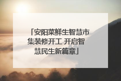 安阳菜鲜生智慧市集装修开工 开启智慧民生新篇章
