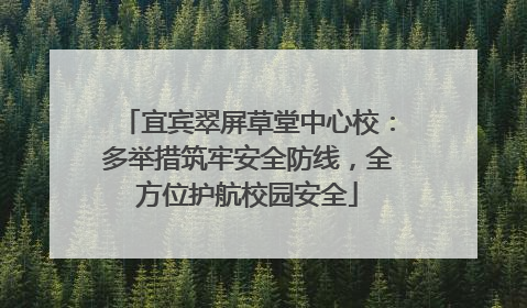宜宾翠屏草堂中心校：多举措筑牢安全防线，全方位护航校园安全