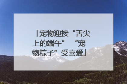 宠物迎接“舌尖上的端午” “宠物粽子”受喜爱