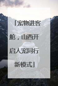 宠物进客舱，山西开启人宠同行新模式