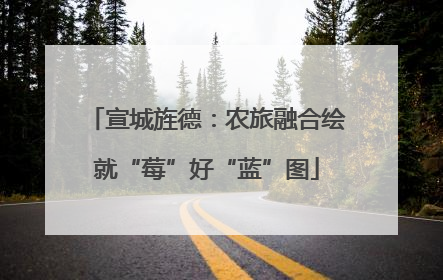 宣城旌德：农旅融合绘就“莓”好“蓝”图