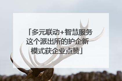 多元联动+智慧服务 这个派出所的护企新模式获企业点赞