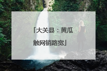 大关县：黄瓜触网销路宽
