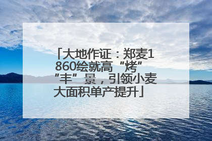 大地作证：郑麦1860绘就高“烤”“丰”景，引领小麦大面积单产提升