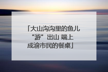 大山沟沟里的鱼儿 “游”出山 端上成渝市民的餐桌