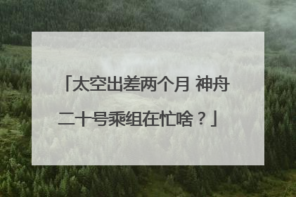 太空出差两个月 神舟二十号乘组在忙啥？