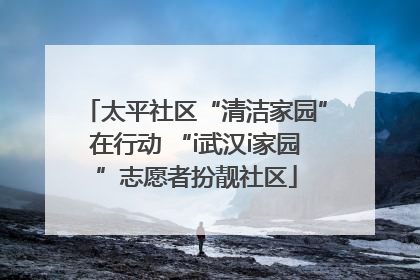 太平社区“清洁家园”在行动 “i武汉i家园”志愿者扮靓社区
