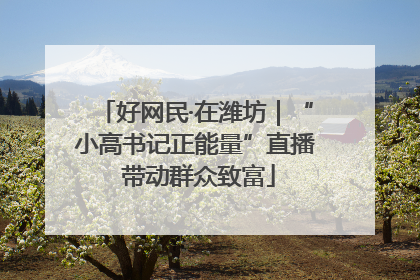 好网民·在潍坊｜“小高书记正能量”直播 带动群众致富