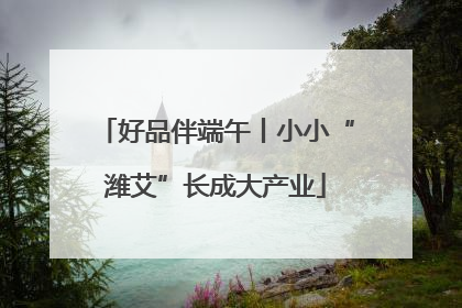 好品伴端午丨小小“潍艾”长成大产业