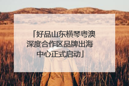 好品山东横琴粤澳深度合作区品牌出海中心正式启动
