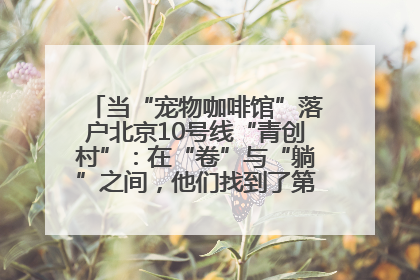 当“宠物咖啡馆”落户北京10号线“青创村”：在“卷”与“躺”之间，他们找到了第三种生活公式
