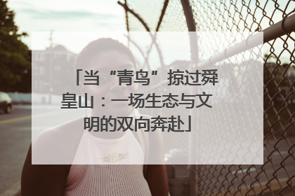 当“青鸟”掠过舜皇山：一场生态与文明的双向奔赴