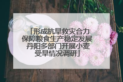 形成抗旱救灾合力 保障粮食生产稳定发展 丹阳多部门开展小麦受旱情况调研