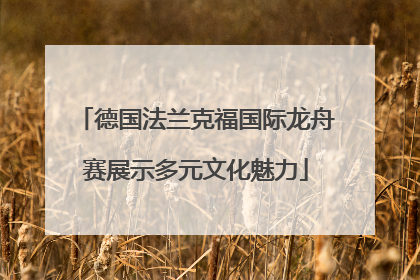 德国法兰克福国际龙舟赛展示多元文化魅力
