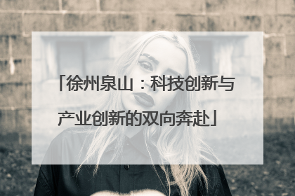 徐州泉山：科技创新与产业创新的双向奔赴