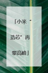 小米“造芯”再攀高峰