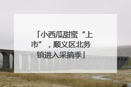 小西瓜甜蜜“上市”，顺义区北务镇进入采摘季